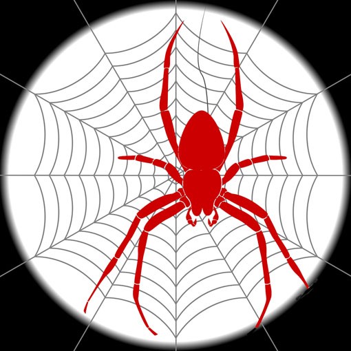 spider-1530143_1280