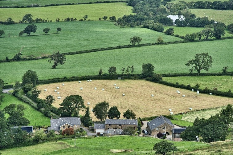 farming-8210675_1280